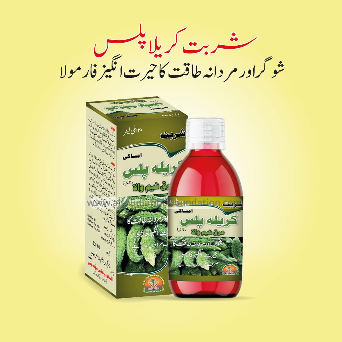 Karela Plus Syrup